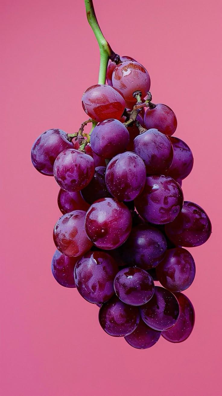 Roots & Fruits: Earth's Natural Goodness
